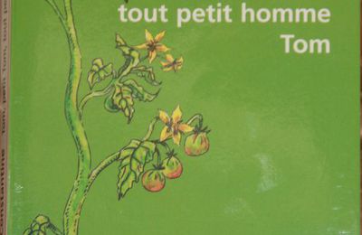 Tom petit Tom tout petit homme Tom de Barbara Constantine