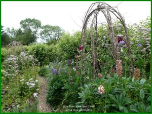 Les jardins de Harlow Carr; YORKSHIRE, Angleterre - 1ère partie/2
