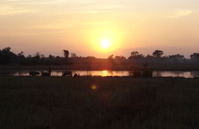 ...le Laos en novembre