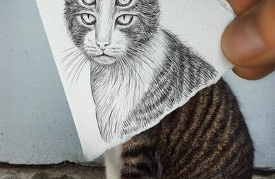 BEN HEINE, photographe-dessinateur-illustrateur-peintre