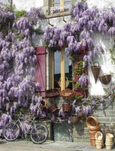 Notre secteur, notre région