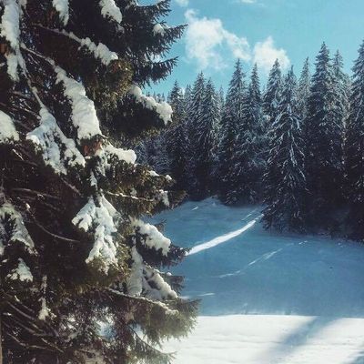 Skier en Suisse : Oh oui ! 