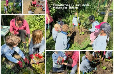 atelier permaculture avril 2025 MDE