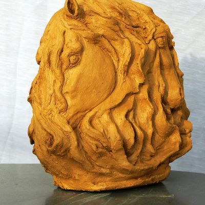 Crinières et regards