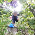 Sarabandes, facheries et sejour en Vendee