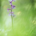 Photographier autrement avec Carole Reboul