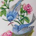 Dessins aux pastels secs : Oiseaux bleus
