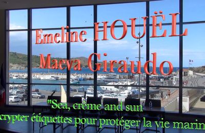 vidéo de la conférence du 31/01/2024 E. HOUËL et M. GIRAUDO :"sea, crème and sun"