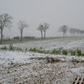 des cailloux, toujours des cailloux