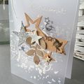 Des cartes pour toutes les occasions! 1ère partie! 