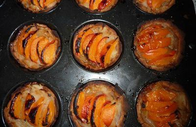 Tartelettes aux fruits