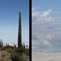 Nuestras Raices, une initiative de tourisme communautaire dans la region de Uyuni