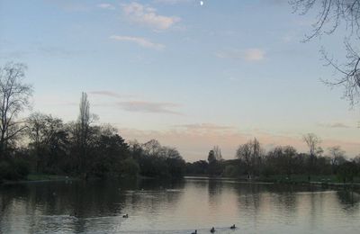 bois de vincennes Paris Novembre 2010