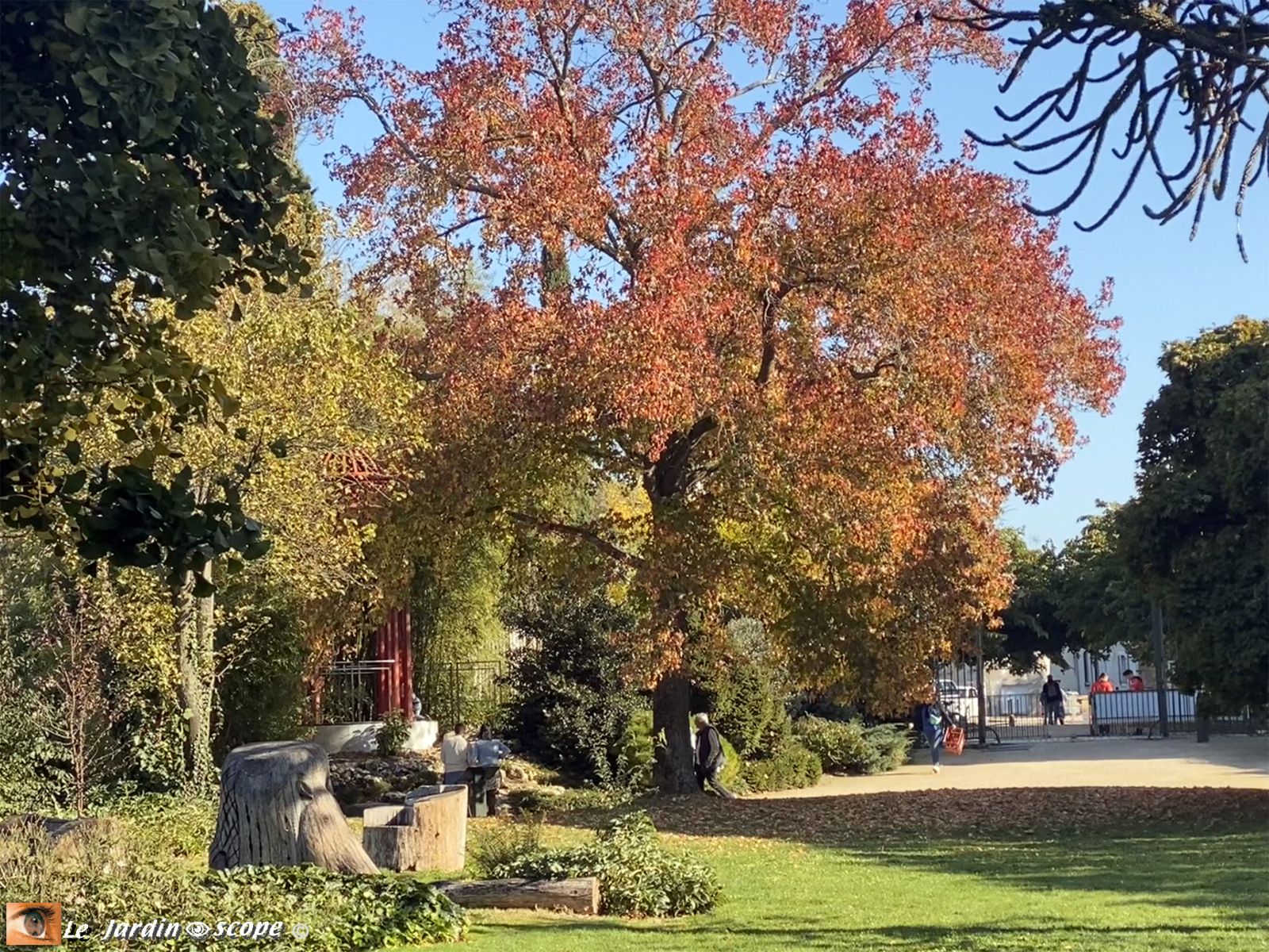 O'Jardin des plantes octobre 2025