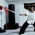 Kung Fu - Art martial à Lyon