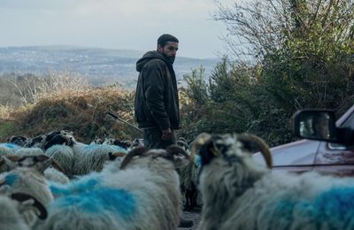 [CRITIQUE]  Le clan des bêtes: quand les loups se dévorent pour des moutons
