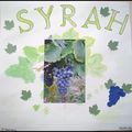 Syrah