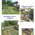 Année 2013 L’évolution des jardins : Jardin