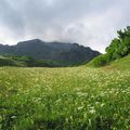 Montée sur l'Alpe