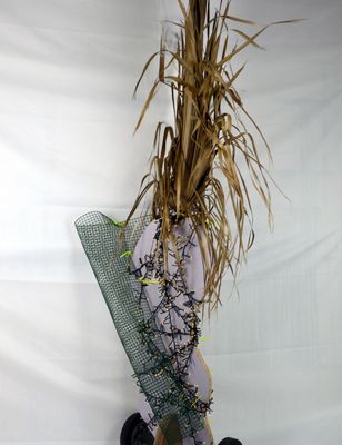 c'est plus facil avec des roulettes        métal, plastique, végétal, lumière         240/100/70       2024
