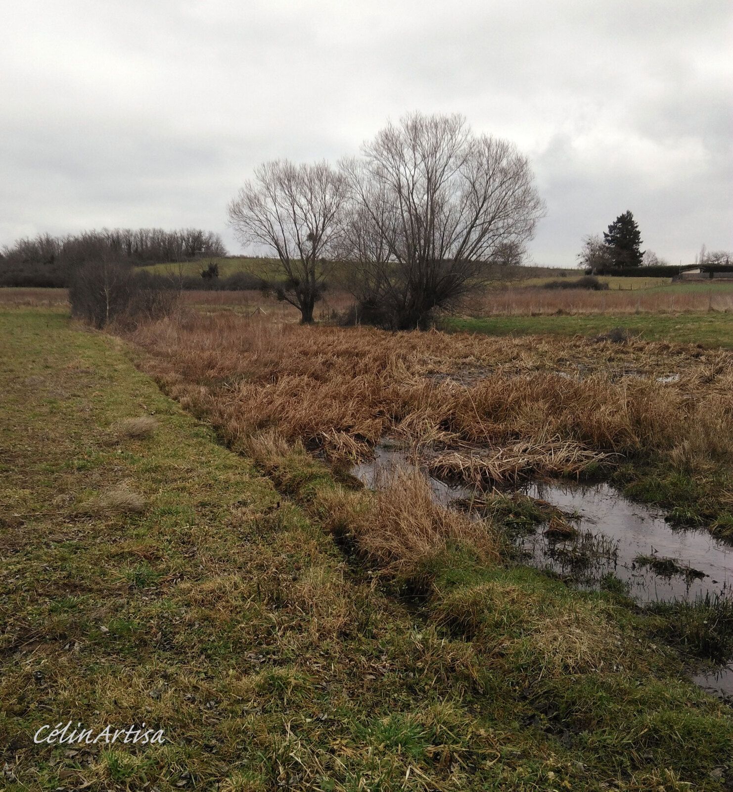 Quicury (Sarcey) - zone humide (photo CF)