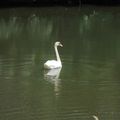 20 juin : encore du beau temps pour un tour sur l'eau