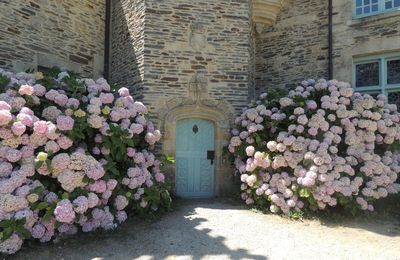 Carte Postale 17