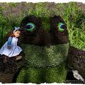 Anaïs au pays des merveilles - 2 - la grenouille géante - Anaïs in Wonderland - 2 - the giant frog
