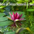 Bon et beau samedi