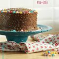 Rainbow Cake au Nutella