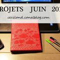 Mes objectifs - Juin 2015