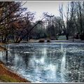 Le parc de rouelles givré au patit matin !!!! 4/6.