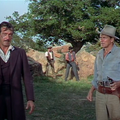 Le Bagarreur du Texas / Le Mariage est pour demain (Tennessee's Partner) d'Allan Dwan - 1955