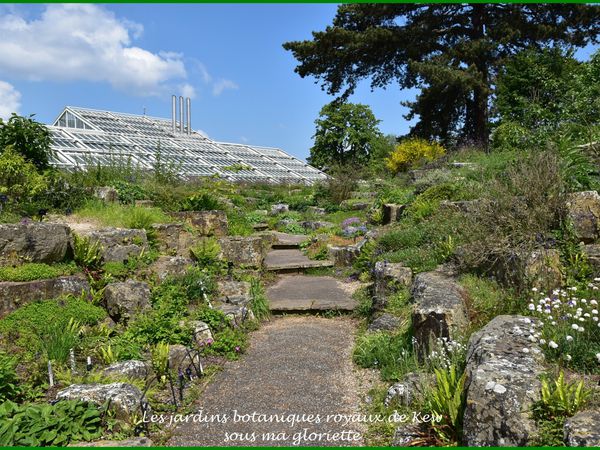 Les jardins botaniques royaux de Kew