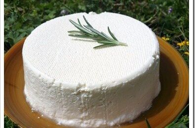 Ricotta maison