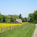 MOUSTIER EN FAGNE - Le Chemin des Iviers