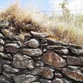 Typique,ces petits murs en pierres ici à Glendalough