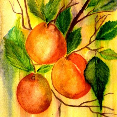 Trois pommes, aquarelle sur papier 300gr/m2, 40cmx30cm