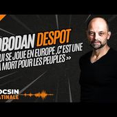 " Il faudrait plutôt préparer un manuel pour survivre à Macron ! " - Slobodan Despot sans filtre !