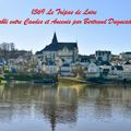 1369 Le Trépas de Loire établi entre Candes et Ancenis par Bertrand Duguesclin