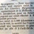 1909 : ATTENTION LES PIGEONS VONT ETRE LACHES .... MAIS ...