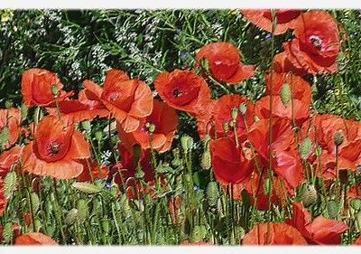 A nos actes manqués