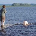 PORT UNIQUE DE L'AXE SEINE: le cadavre de papier d'un monstre du Loch Ness techno-parisien.