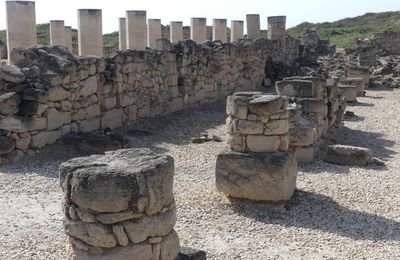 Sultanat d'Oman - découverte du musée de Salalah et derniers achats dans les souk de Salalah et de Mascate