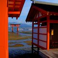 Vue sur le torii de Miyajima ...