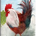 Cocorico !