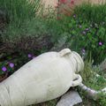 Balade au jardin .... un régal en ce moment Tout pousse et fleurit à vitesse grand V :