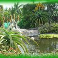 Parc Exotica  -  Ile de la Réunion