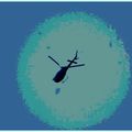 Insecte: hélicoptère!