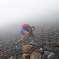 New Zealand Alpine Crossing